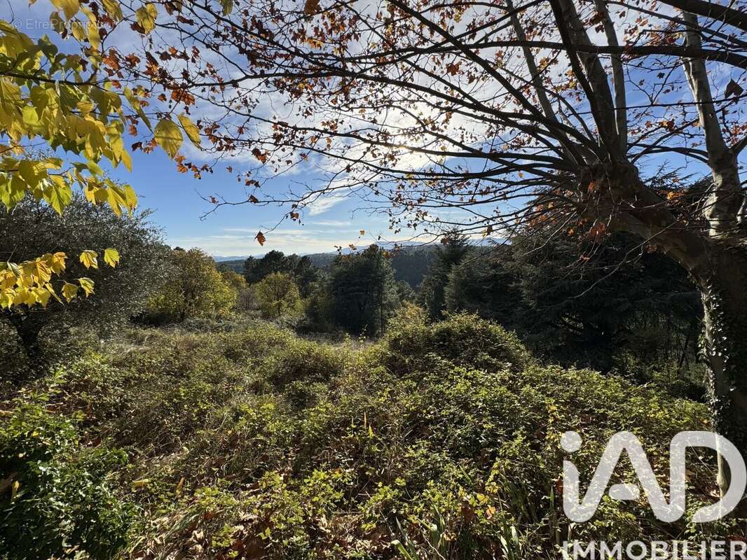 Photo 7 - Maison à PLANZOLLES