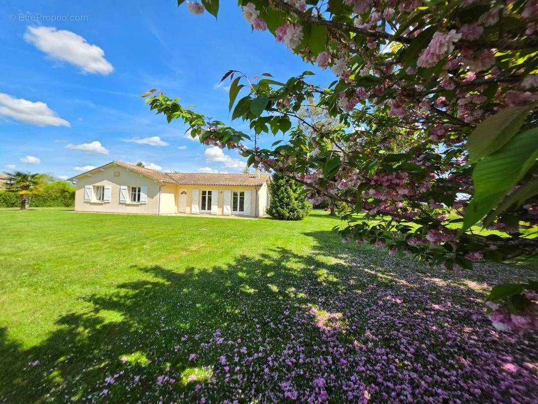 Maison à CASTETS-EN-DORTHE