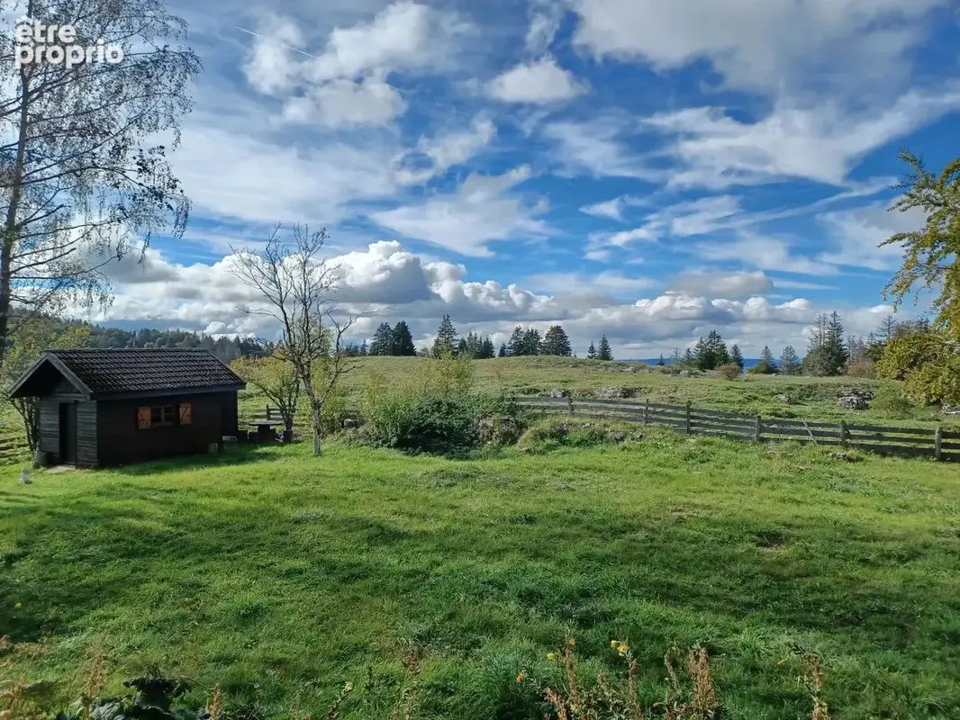 LA PESSE – Un bel environnement et du potentiel à révéler ! - photo 14