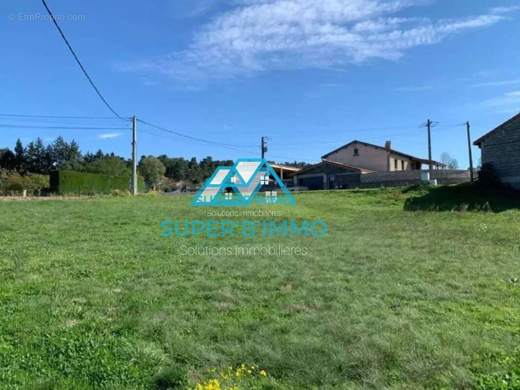 Terrain à VIEILLE-BRIOUDE