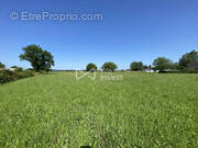 Terrain à ARROS-DE-NAY