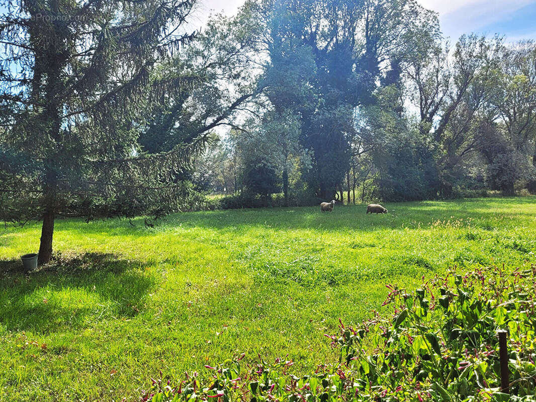 Maison à FONTVIEILLE