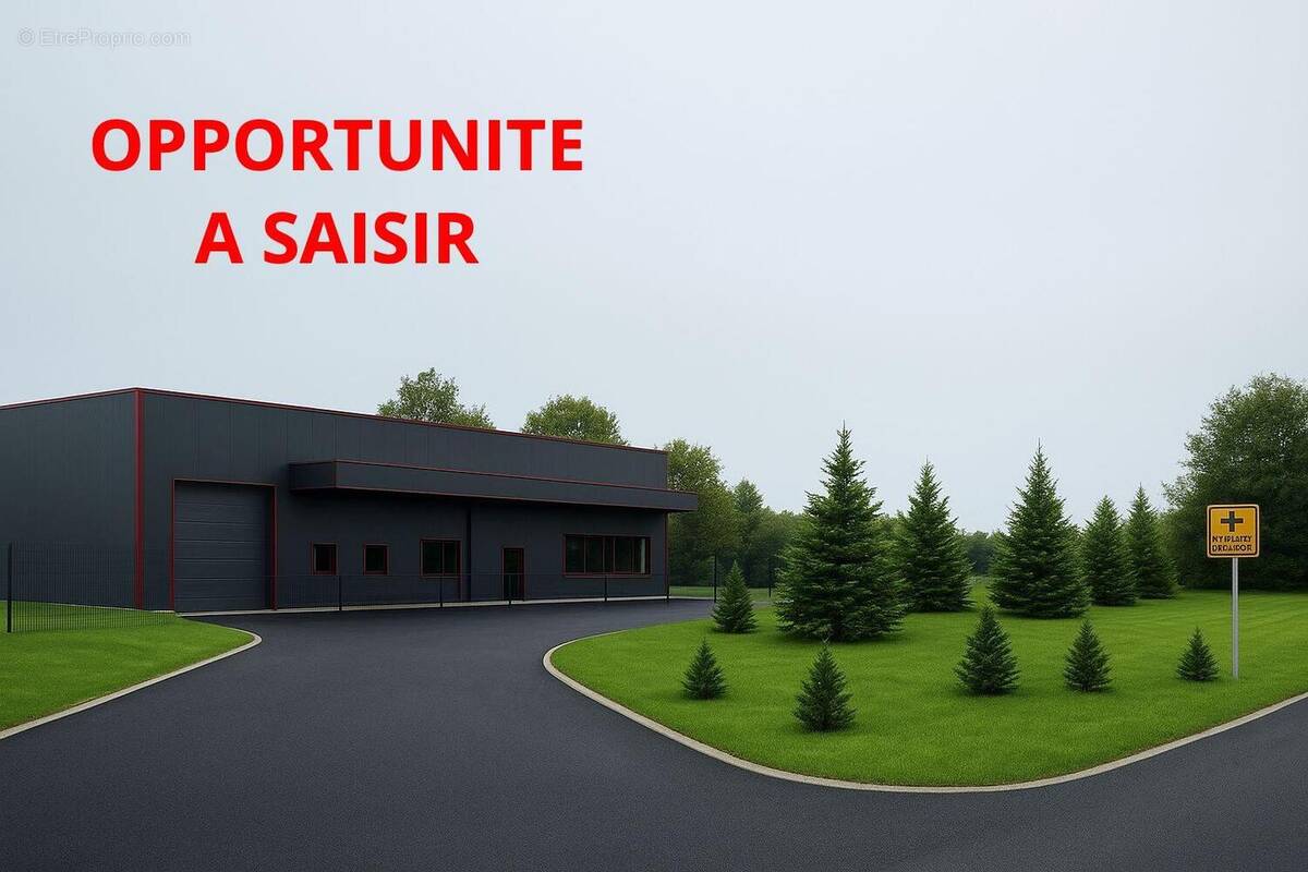 BATIMENT ARTISANAL NEUF - Commerce à MACON