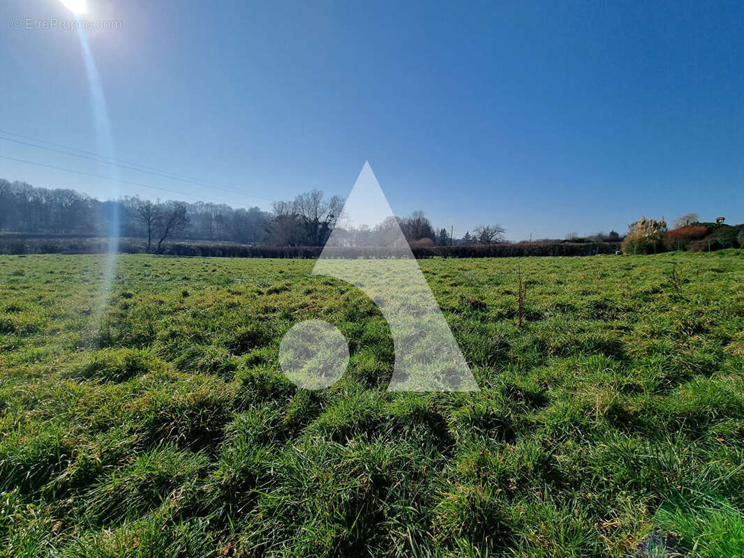 Terrain à SAINT-VALLIER