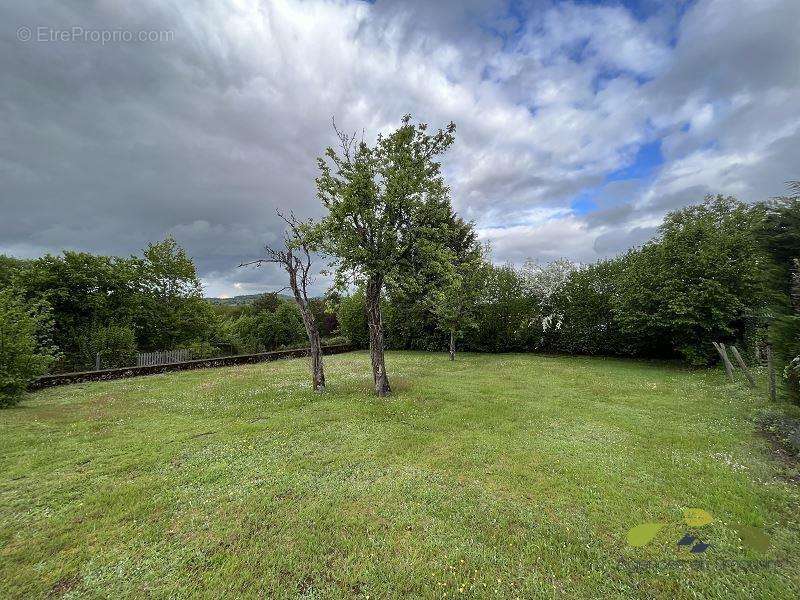 Terrain à SAUVIAT-SUR-VIGE