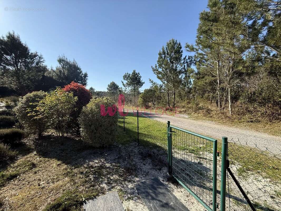 Maison à MOLIETS-ET-MAA