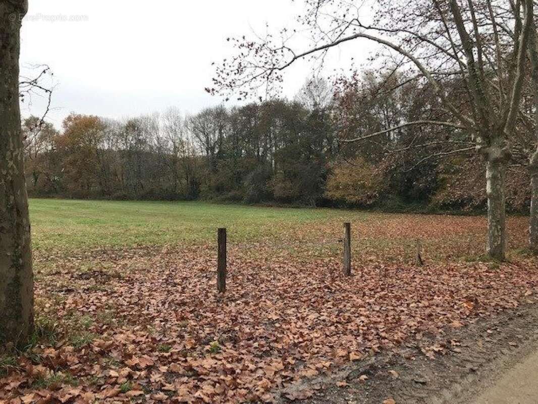 Photo 2 - Terrain à MARTILLAC