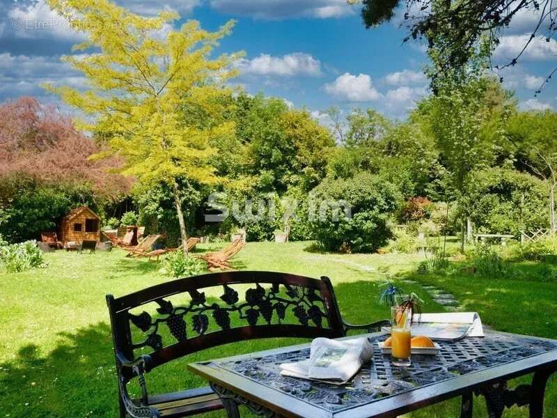 Commerce à CHEVERNY