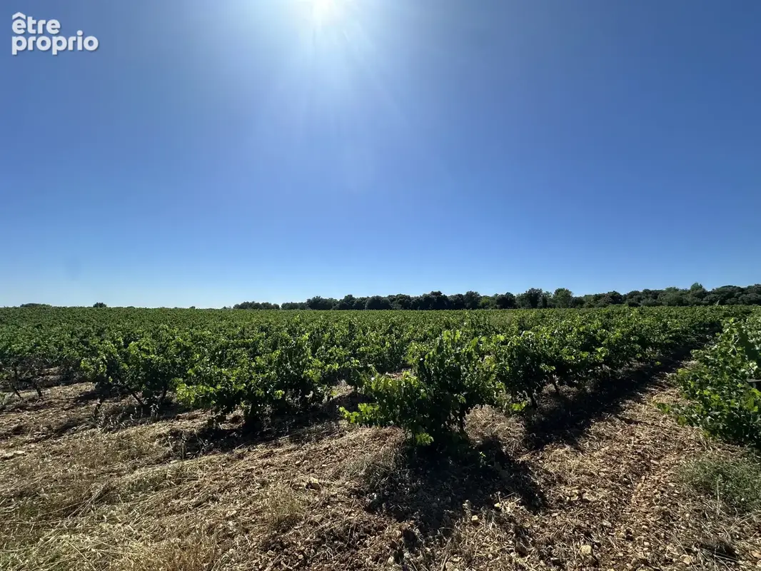 Terrain à FONTANES