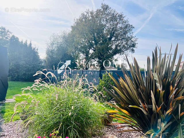 Maison à LA LIMOUZINIERE