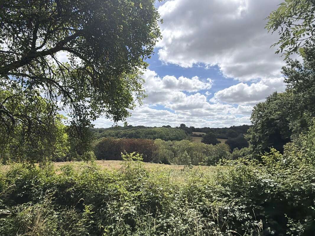 Une charmante maison individuelle offrant une vue magnifique - photo 17