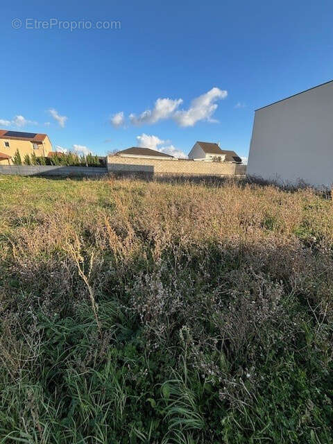Terrain à LOUVIGNY