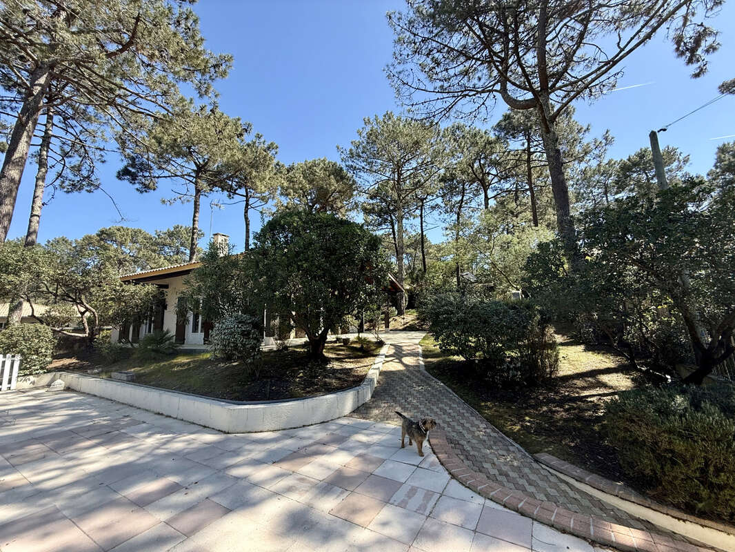 Maison à LEGE-CAP-FERRET