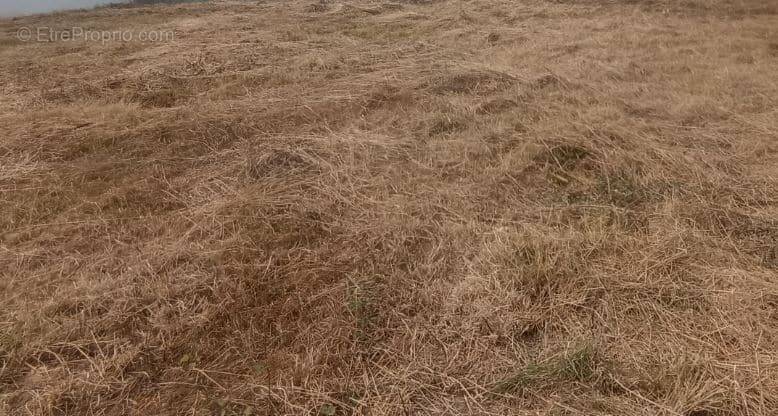 Terrain à BOURGNEUF-EN-RETZ