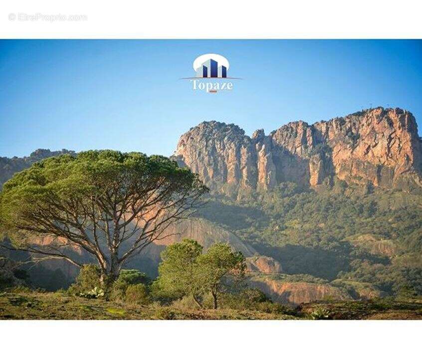 Terrain à ROQUEBRUNE-SUR-ARGENS