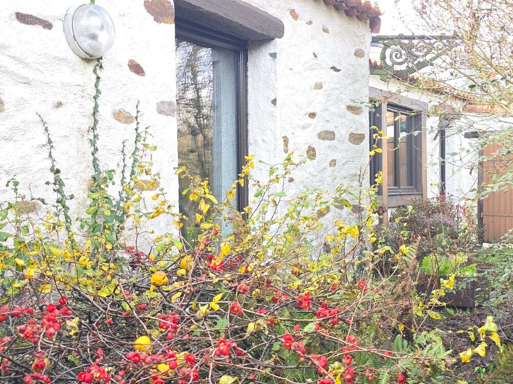 Maison à BOUGUENAIS