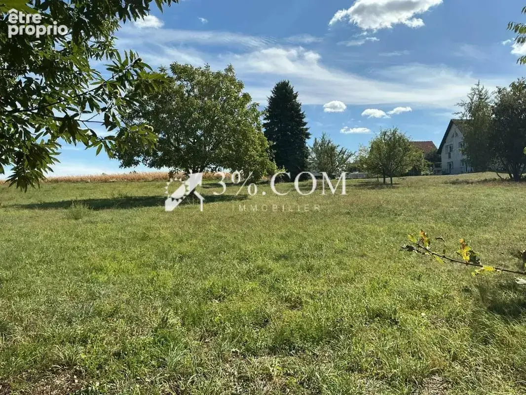 3%.com--MAISON ATYPIQUE à Seebach 67160 - photo 11