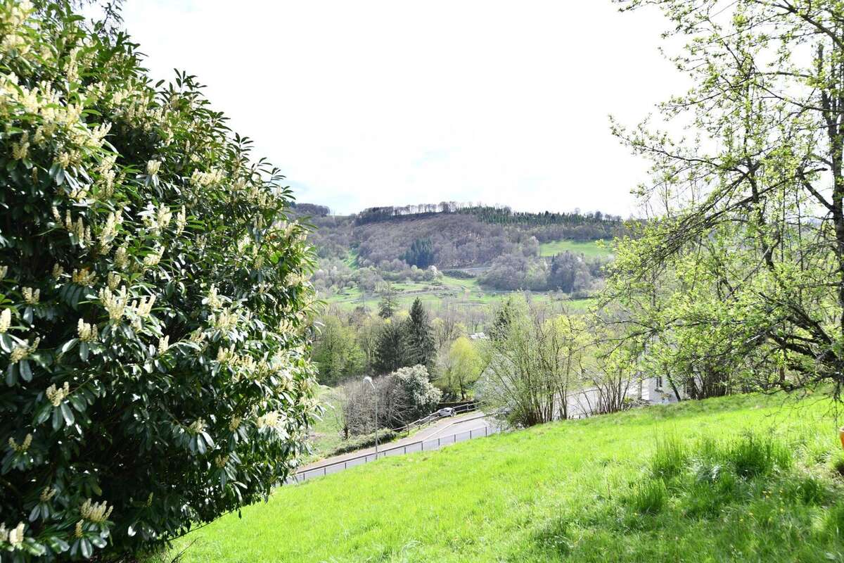 Maison à SAINT-MARTIN-VALMEROUX