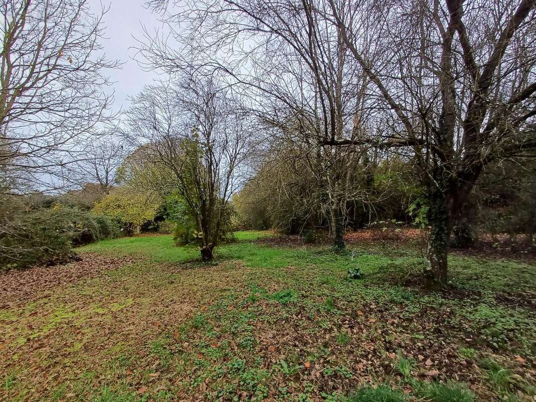 Photo 2 - Terrain à REIGNAC-SUR-INDRE