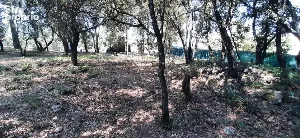 Terrain 732 m² à vendre à Le Thoronet (83340) - photo 3