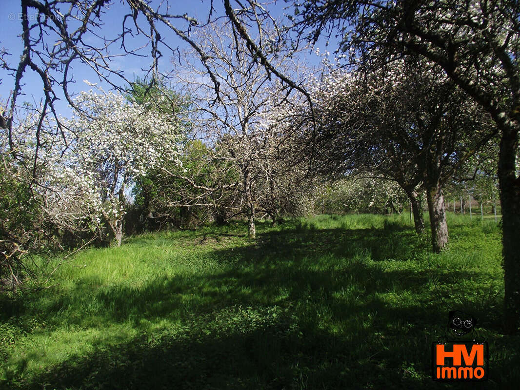 Terrain à LEMPZOURS
