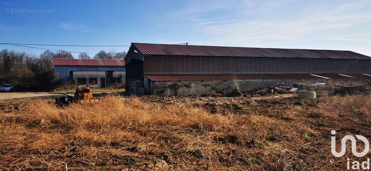 Photo 2 - Appartement à MOUROUX