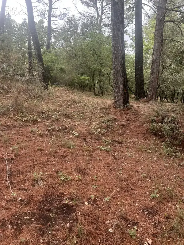 Luberon St-Saturnin les Apt, beau terrain à vendre de 1000 m2 - photo 2