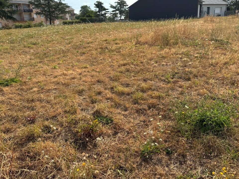 Terrain 768 m² à Renaze  - photo 2