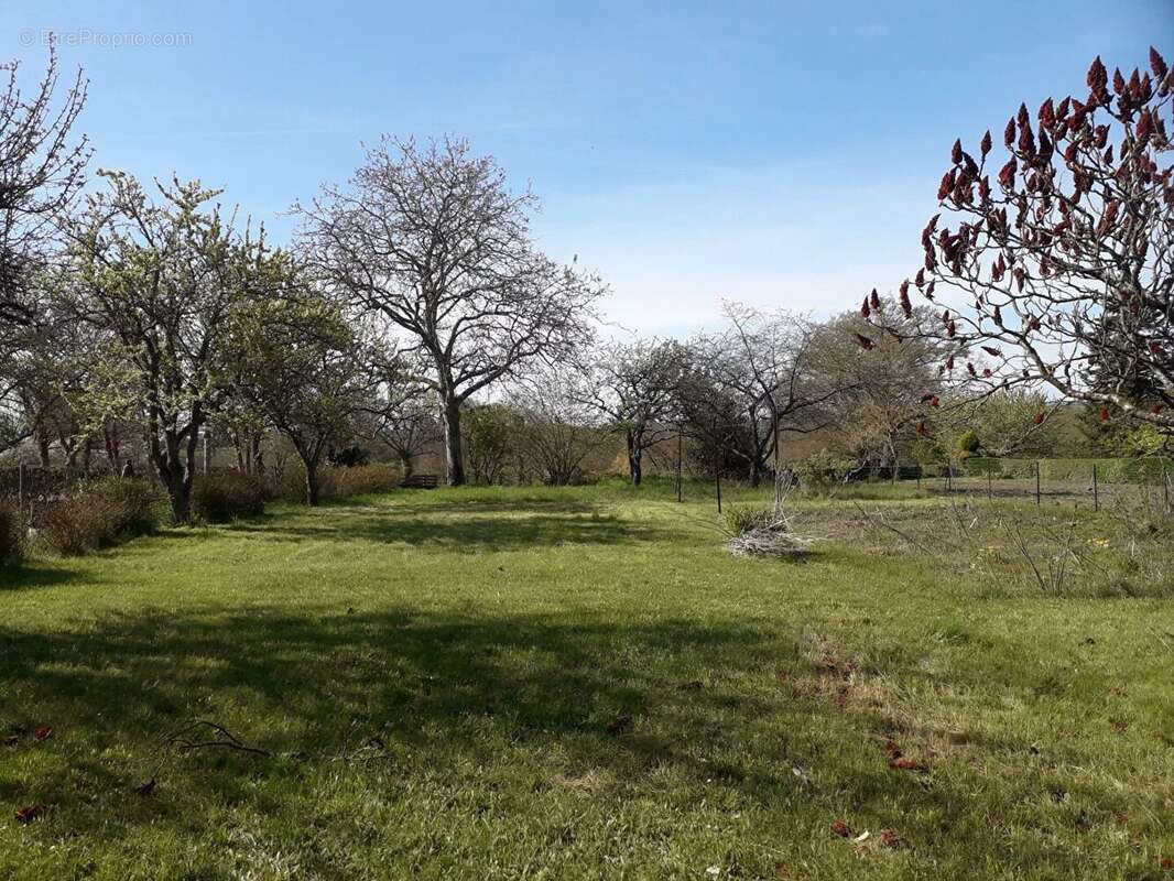 Maison à rénover à 13 min de St-Pourçain-sur-Sioule - photo 16