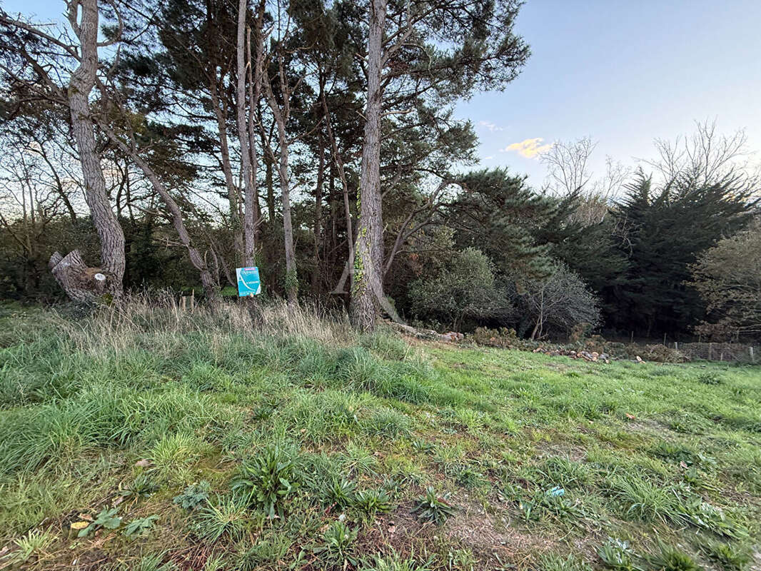 Terrain à SAINT-REVEREND