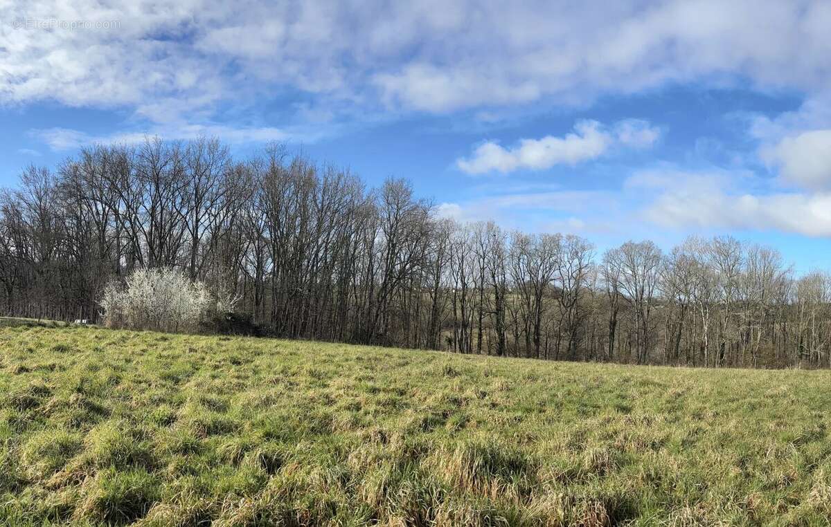 Terrain à POUYASTRUC