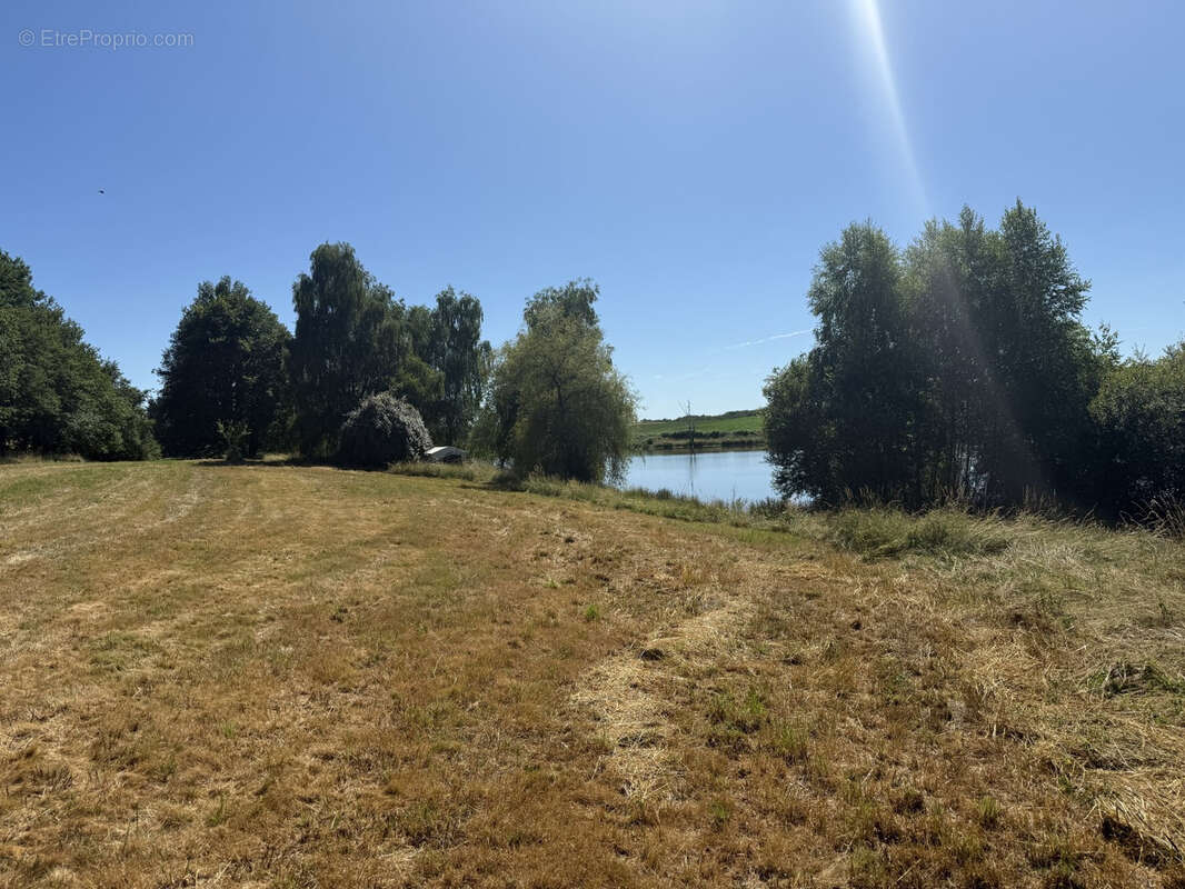 Parcelle de 8ha avec etang - photo 7