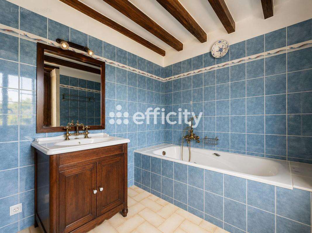 Maison 215 m² à Bierry-Les-Belles-Fontaines  - photo 11