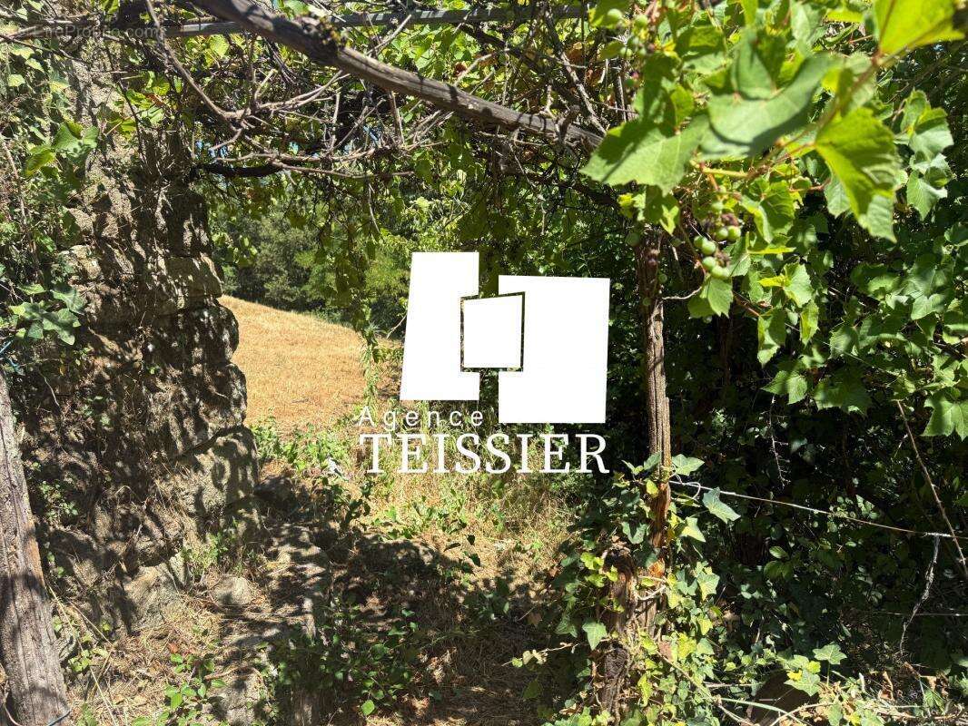 Maison à LES ASSIONS