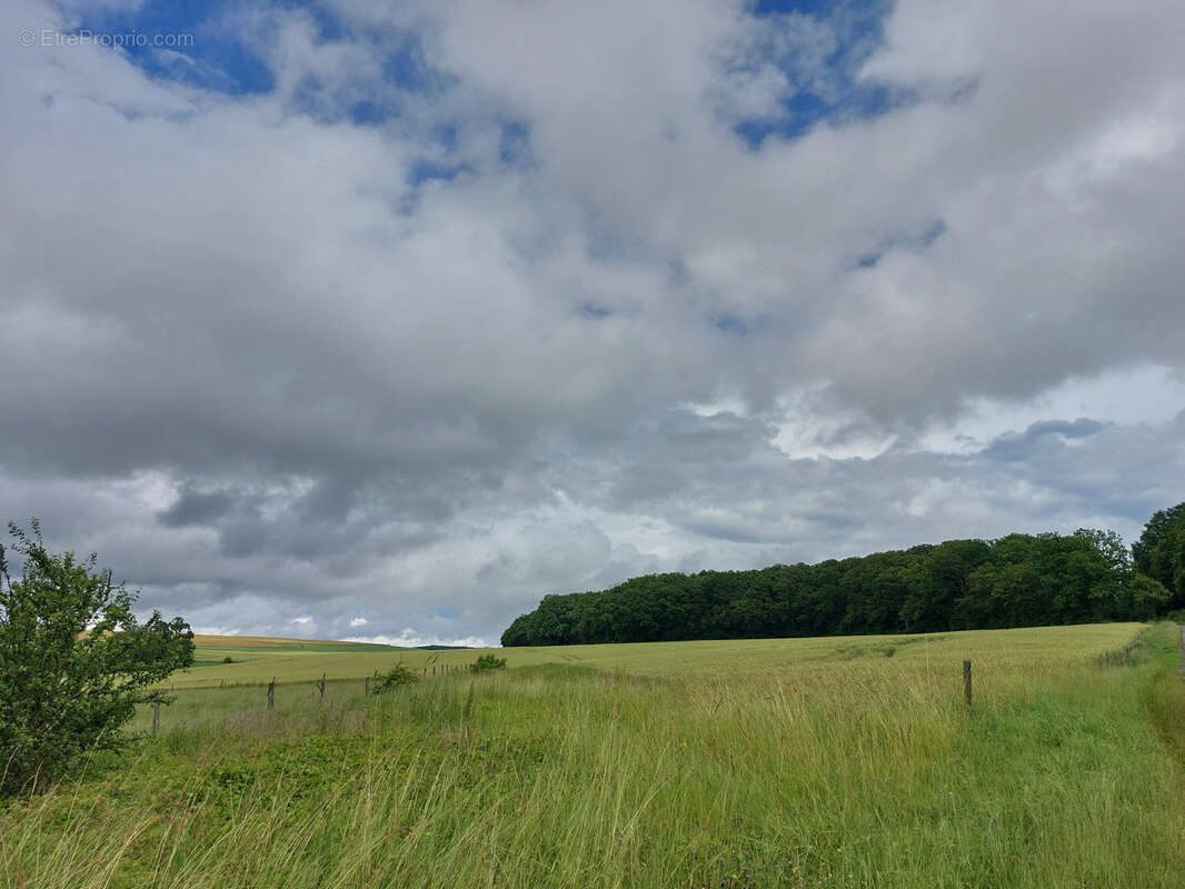 Terrain à FLASTROFF