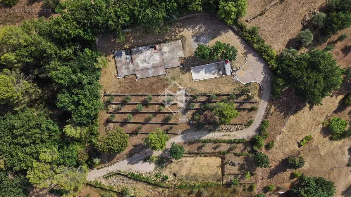 EXCLUSIVITE : Valbonne splendide terrain de 1 hectare - photo 7