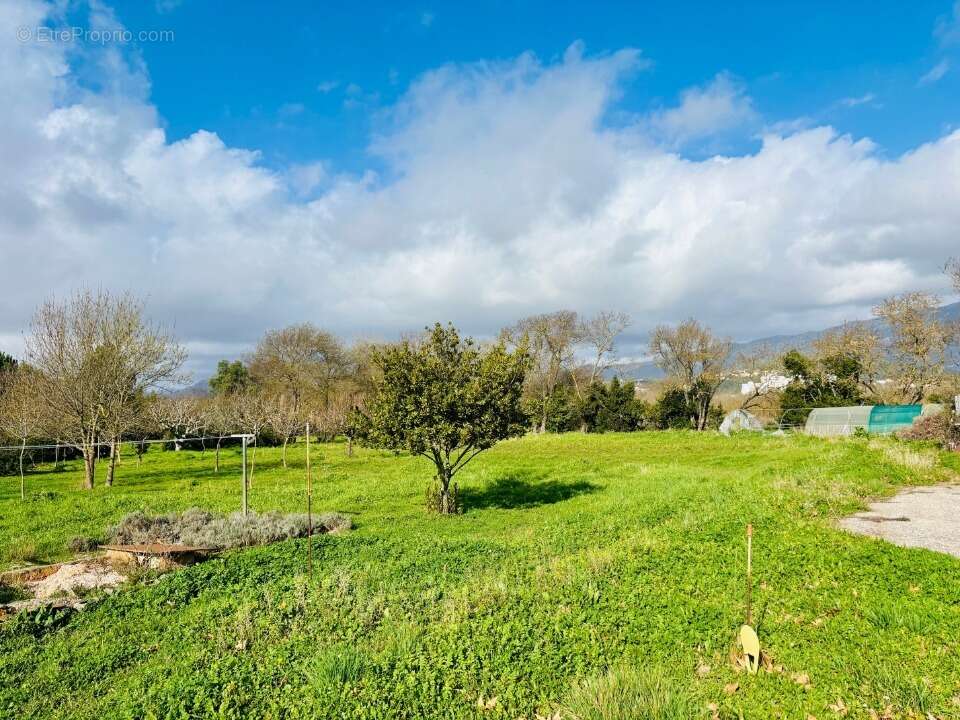 Terrain 730 m² à Le Pradet  - photo 4