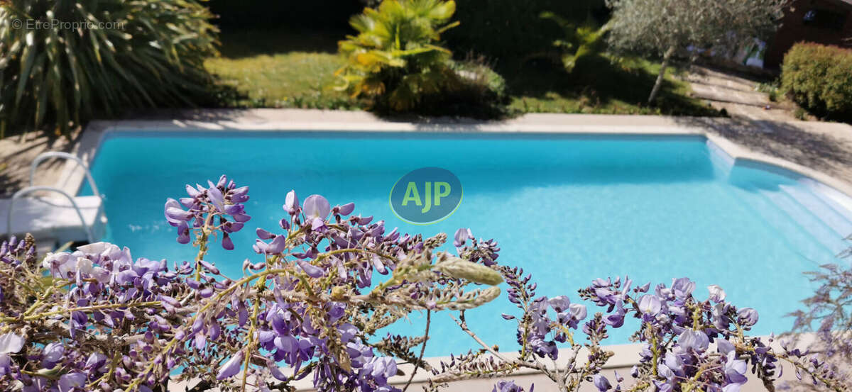 Maison à SAINT-NICOLAS-DE-REDON