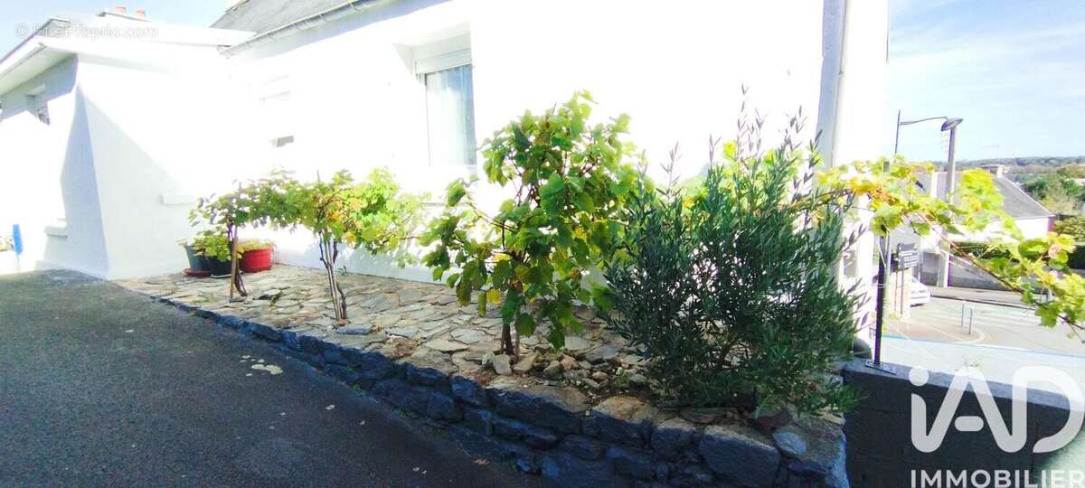 Photo 2 - Maison à MORLAIX