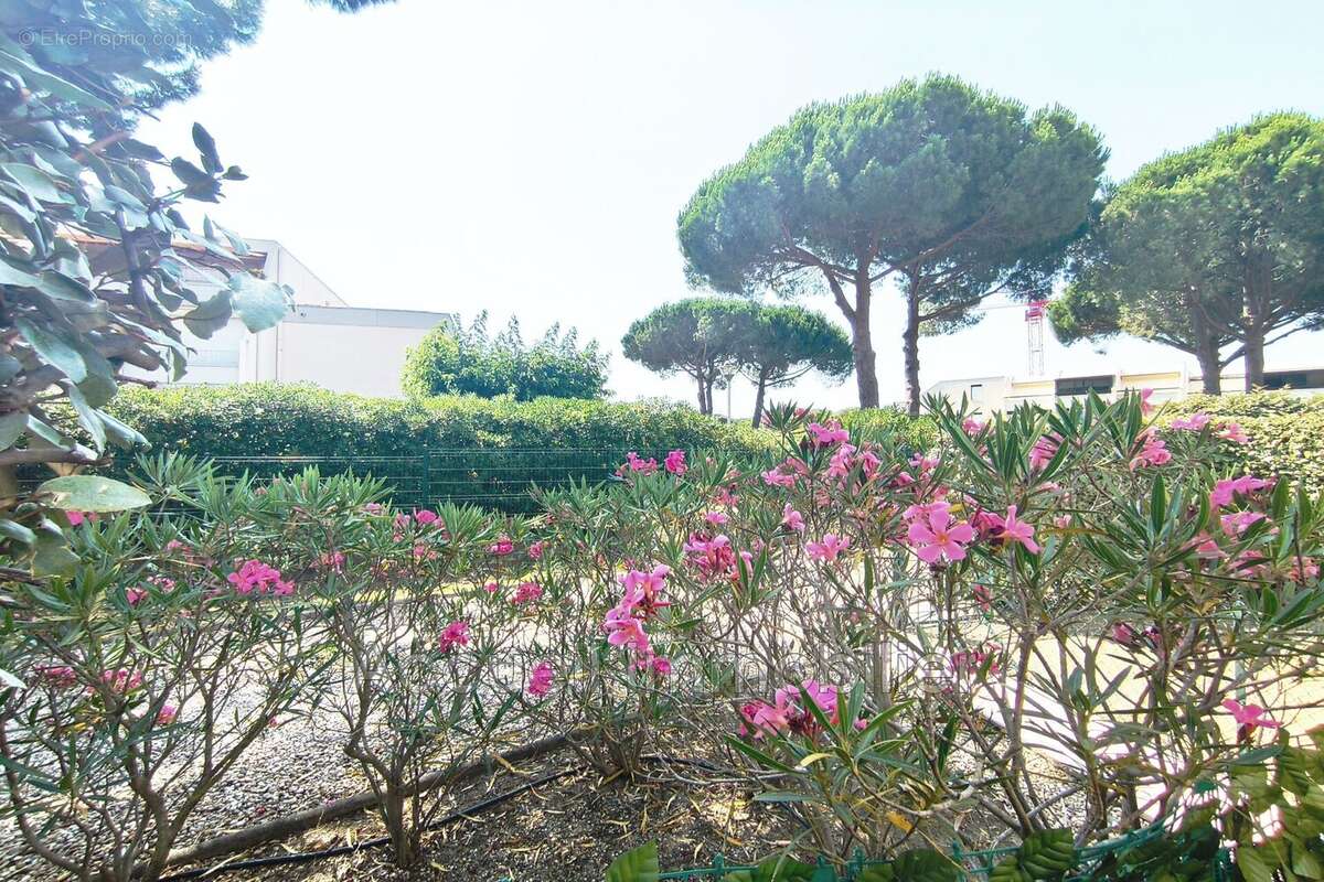 Appartement à LE GRAU-DU-ROI