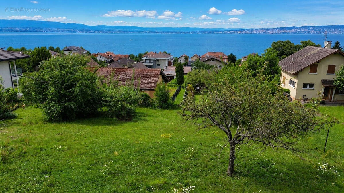 Terrain 1700 m² à Neuvecelle  - photo 4