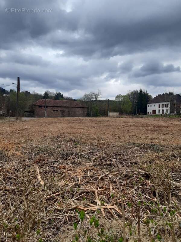 Terrain à LA PETITE-RAON