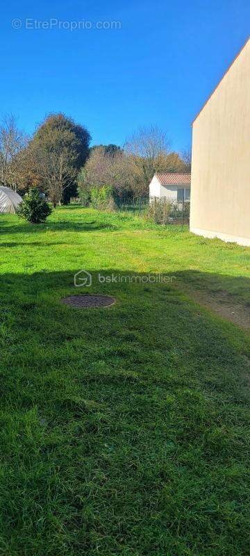 Terrain à LES MATHES