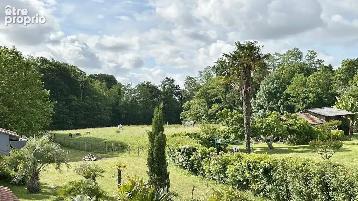 Propriété de caractère rénovée  312 m²  5 chambres  Piscine  À moins de 10 km de Capbreton - photo 5