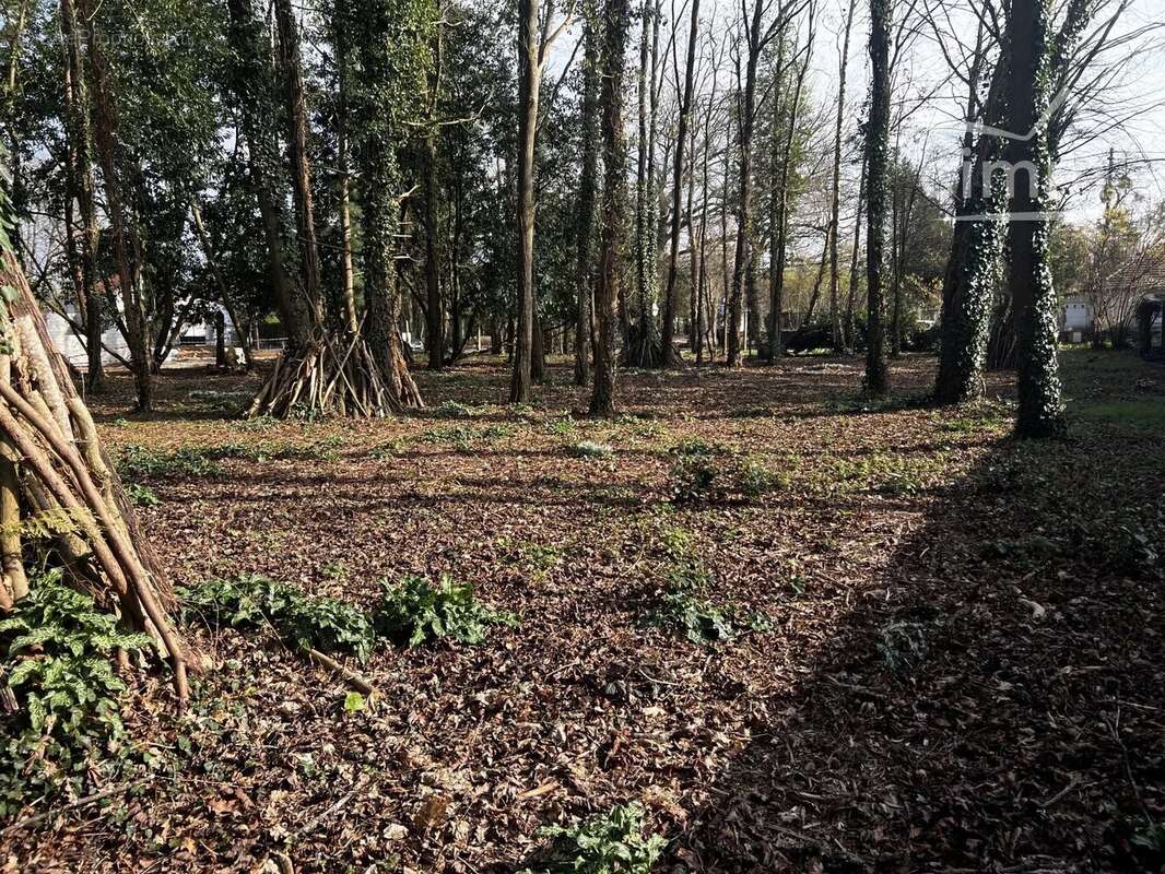 Terrain à CONGIS-SUR-THEROUANNE