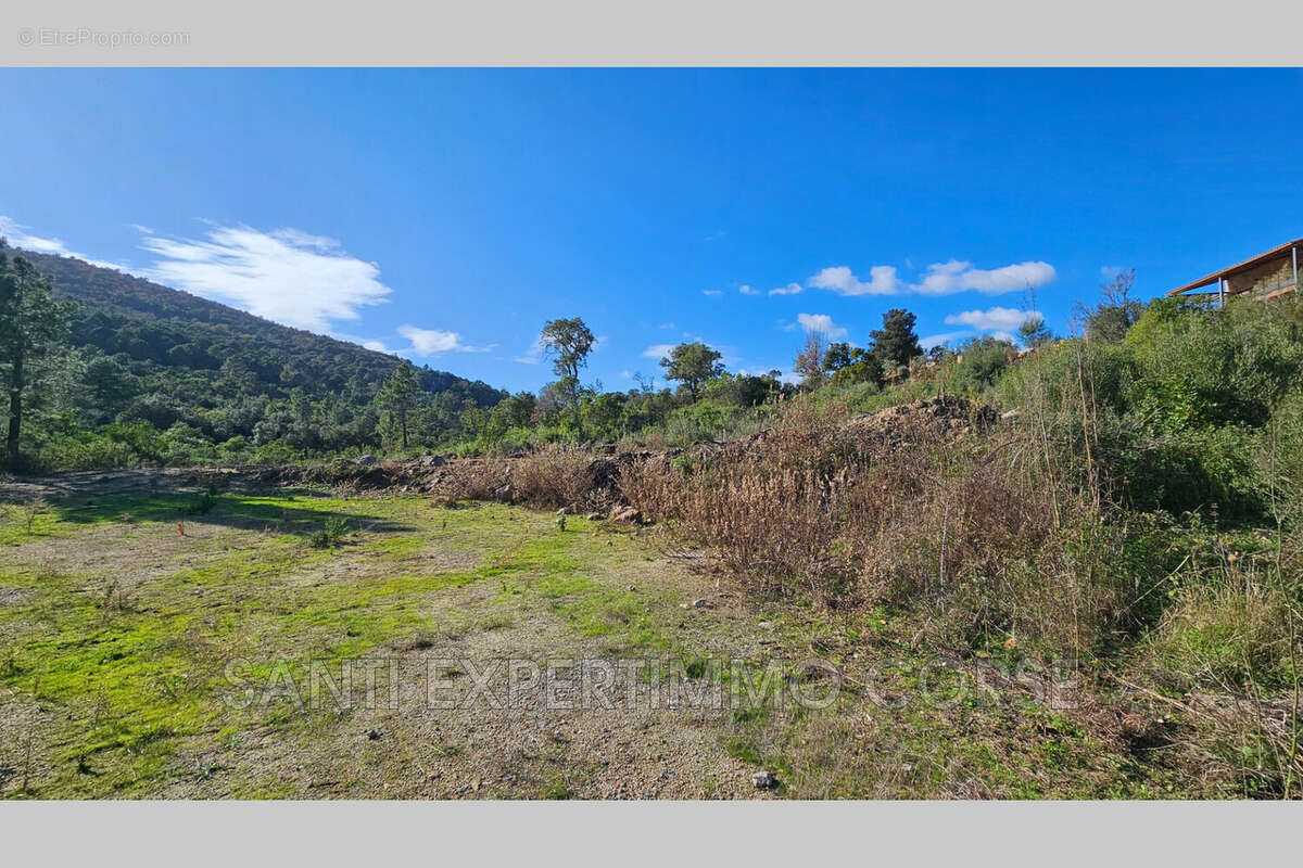 Terrain à SARI-SOLENZARA