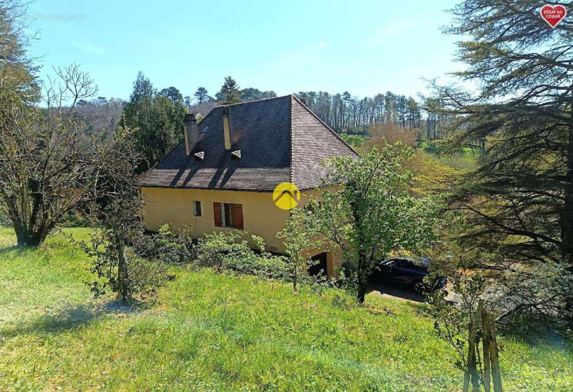 Maison à LE BUISSON-DE-CADOUIN