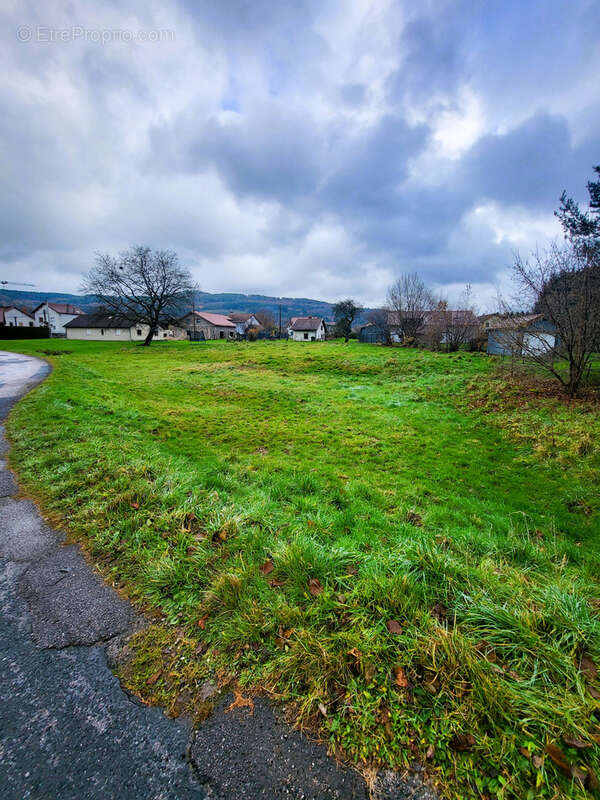 Terrain à AUMONTZEY