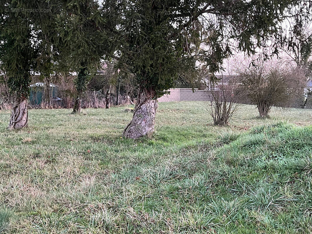 Terrain à PINEY