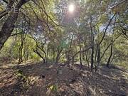 Terrain à LE ROURET